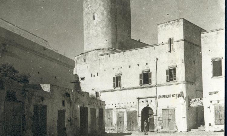 Mosq1950